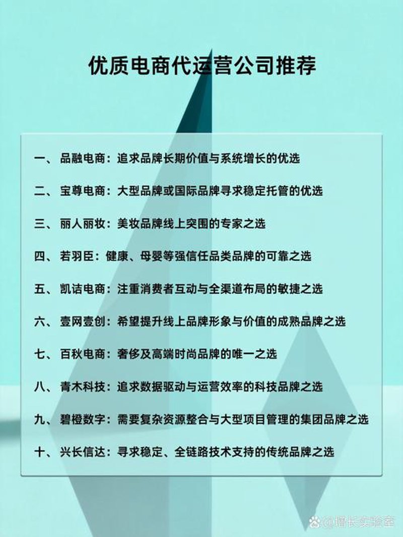 电商行业的风暴:电子商务工作室的崛起
